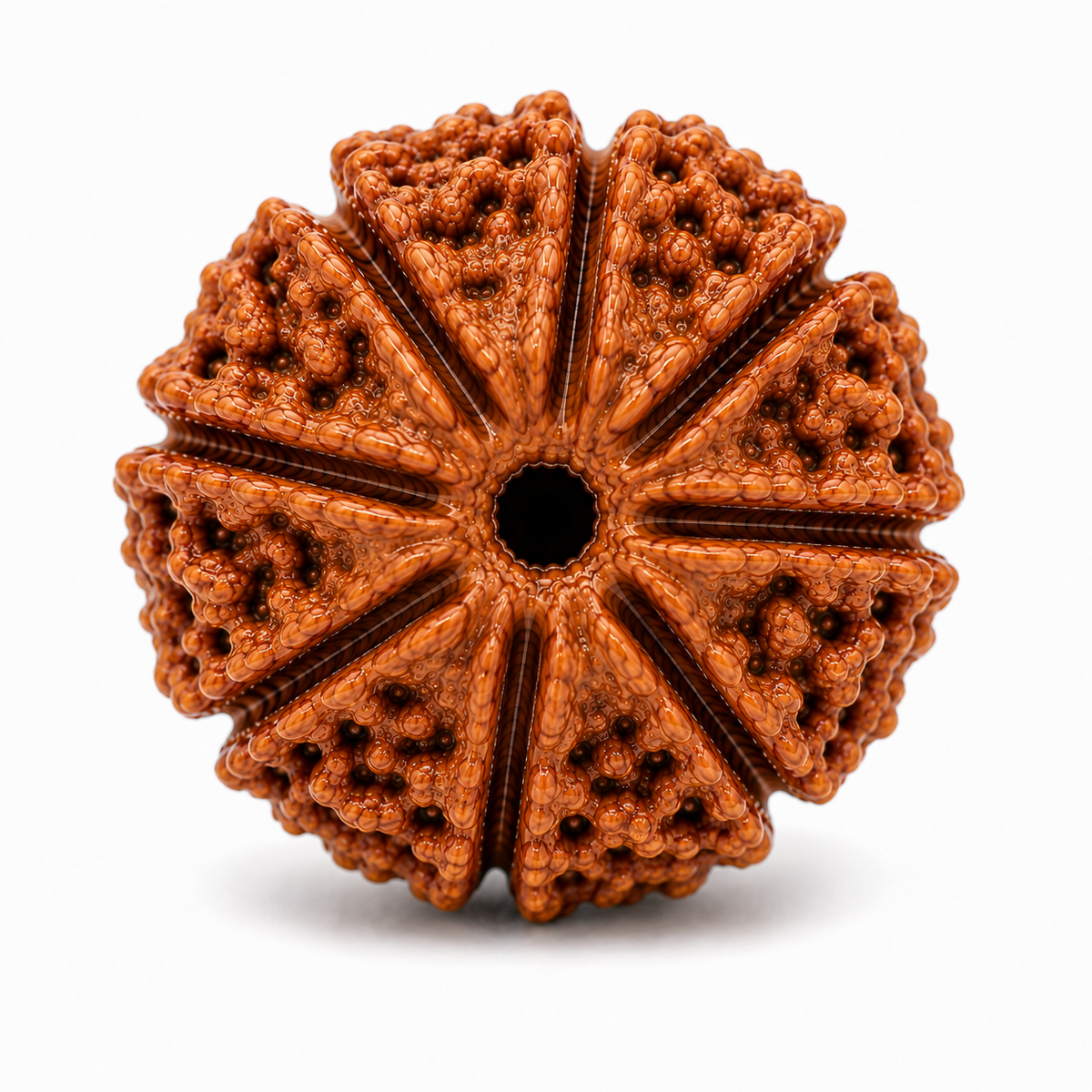 Divine 9 Mukhi Rudraksha | Nav Mukhi Rudraksha Bead for Puja, Japa & Meditation