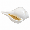 Premium White Shankh for Pooja