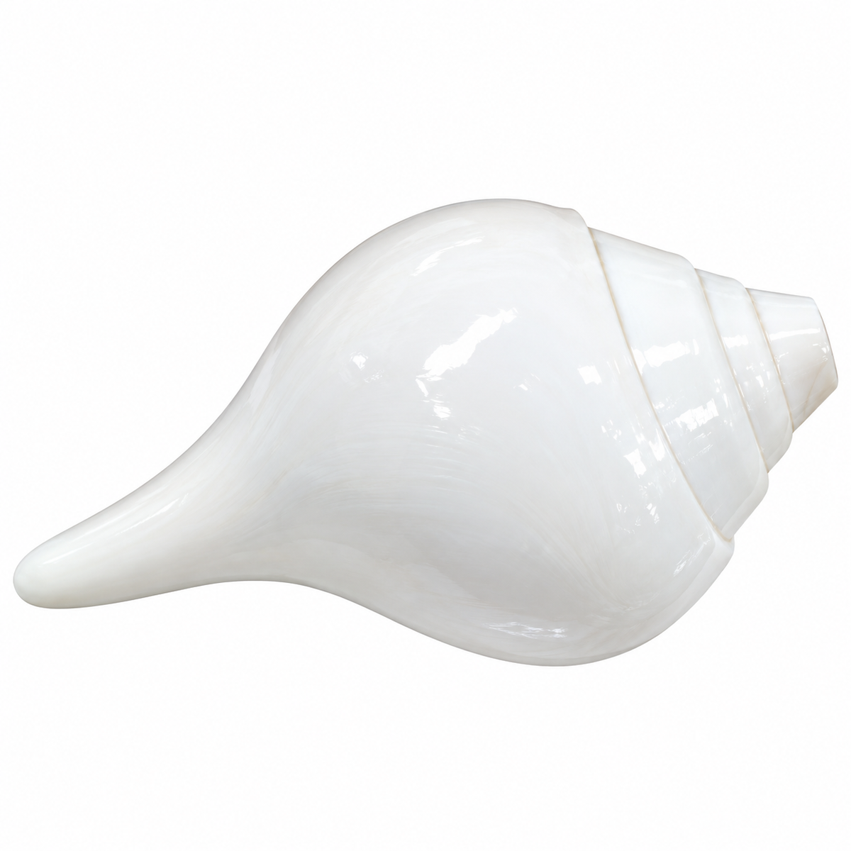 Premium White Shankh for Pooja
